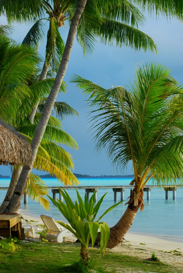 White sand green beach green island