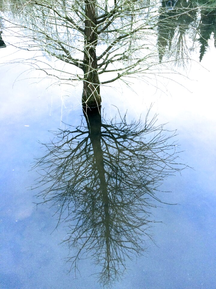 Water nature landscape