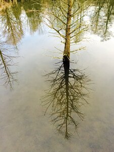 Water nature pond
