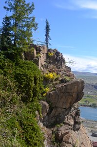 View b nature