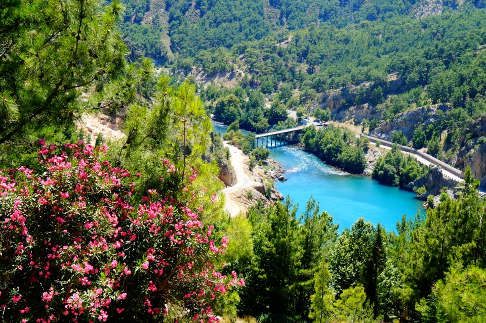 Landscapes forest views