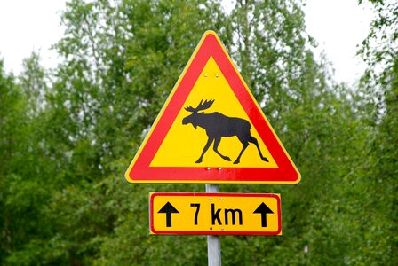 Deer momentum signalling