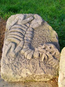 Sculpture dinosaur stone photo