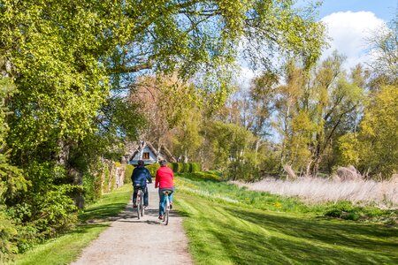Althagen cycle path spring