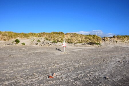 Sea coast sand photo