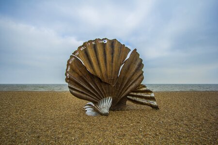 Shell the statue of beach