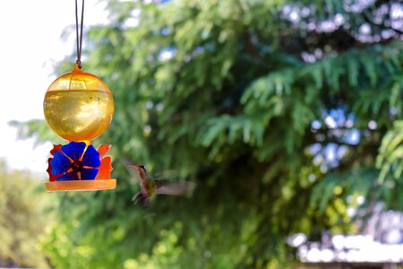 Flight hydration sprue
