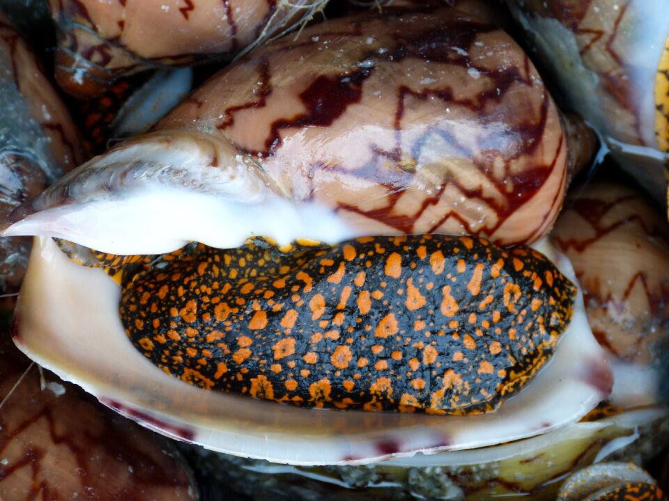 Fisherman eat food photo