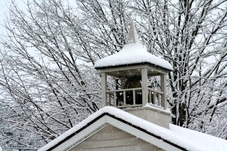 Winter snow bell photo