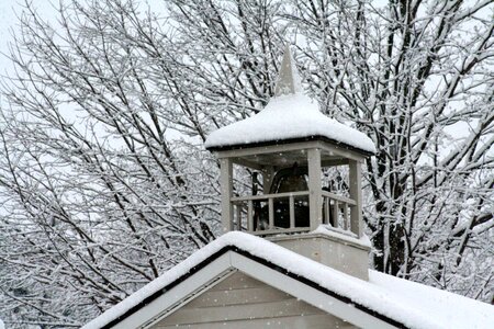 Winter snow bell