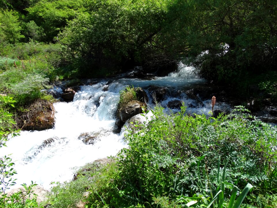 Mountains canyon shymkent