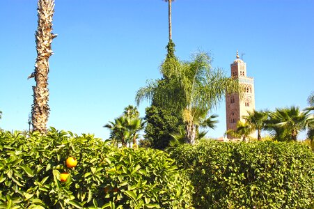 Tower gardens morocco