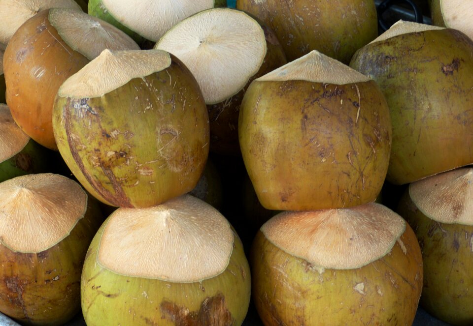 Food nutrition palm