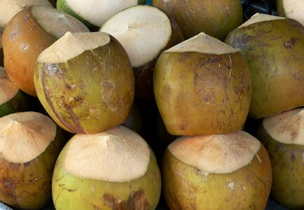 Food nutrition palm