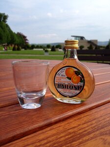 Alcohol drink bottle