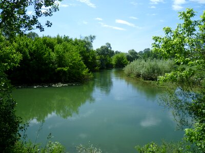 Green river burgundy