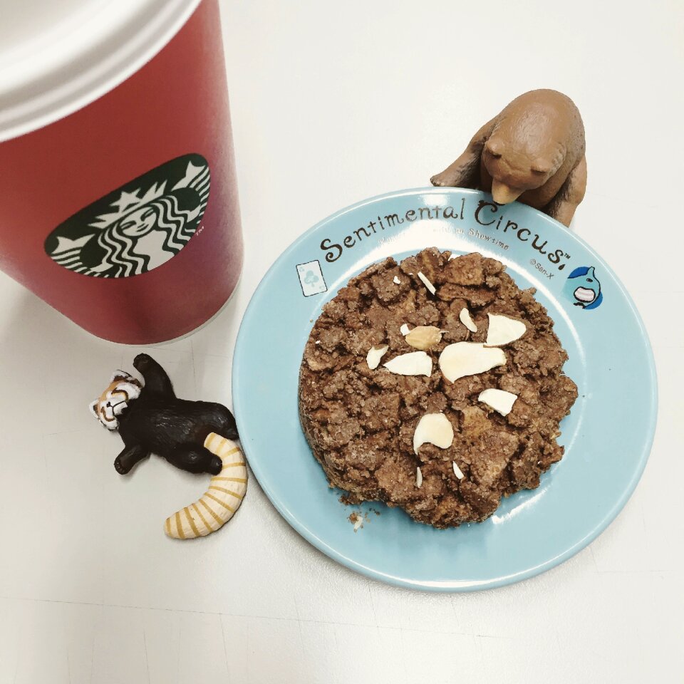 Jewelry starbucks chocolate