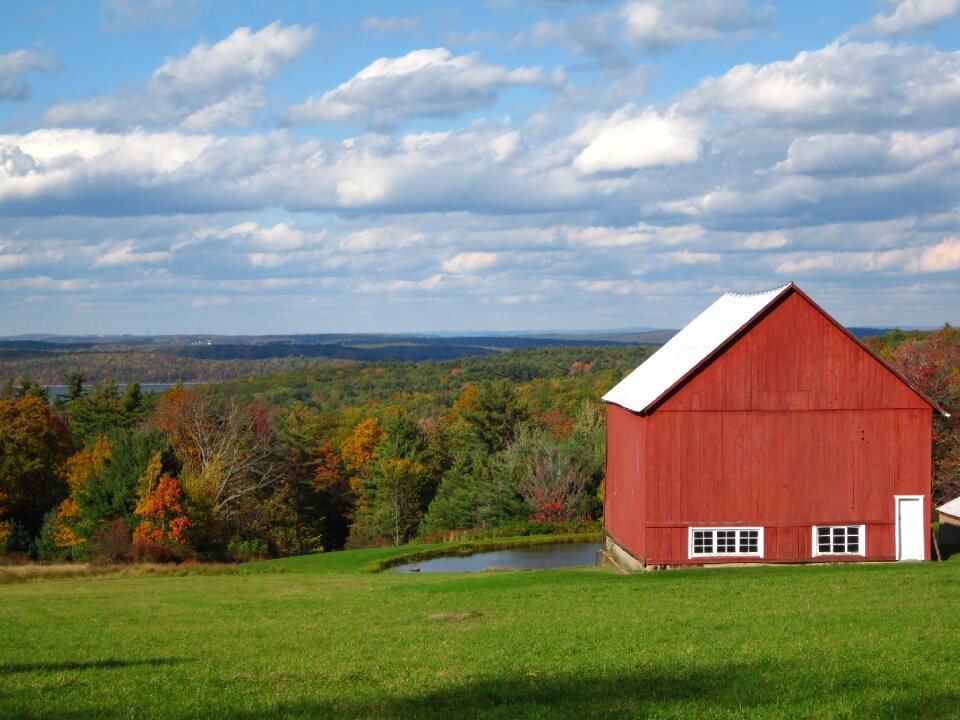 Autumn meadow scenic