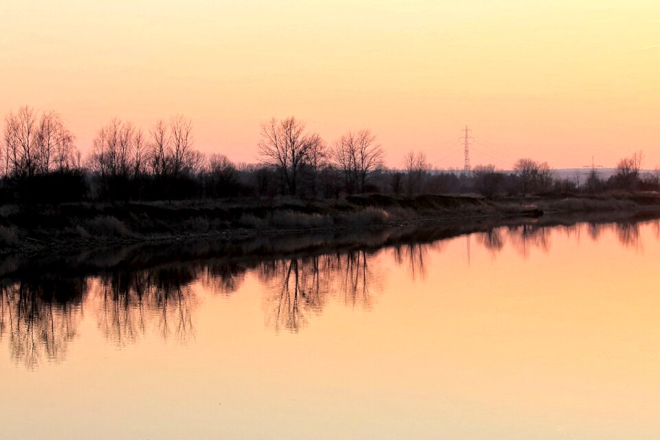 Mirrored trees landscape nature