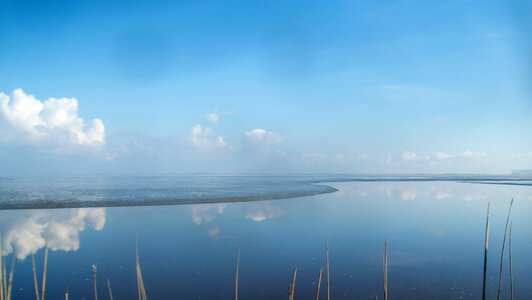 Nature sea netherlands