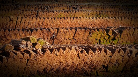 Peat potting soil acquisition photo