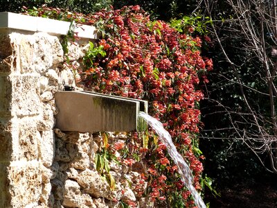 Water feature blooms
