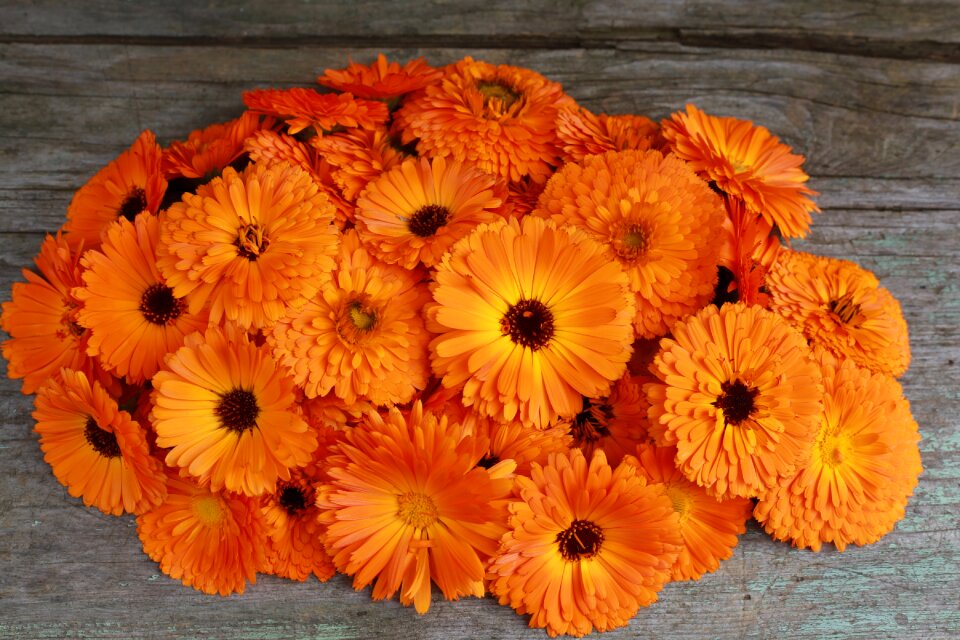 Lutein orange flower bouquet