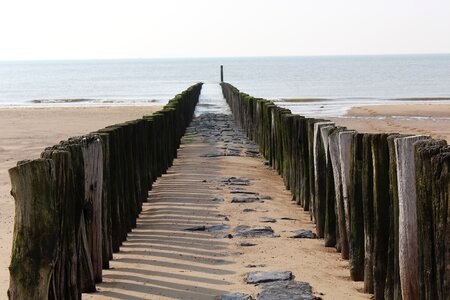Coast sand wooden