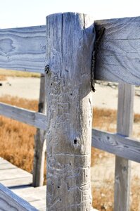 Picket fence material matter