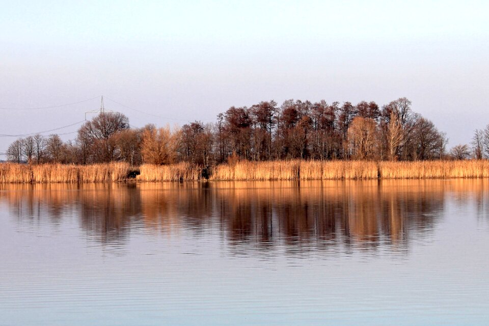 Shadow landscape mirrored trees