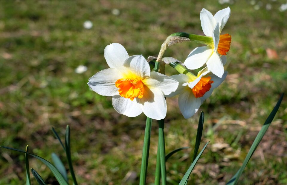 Bright nature beautiful