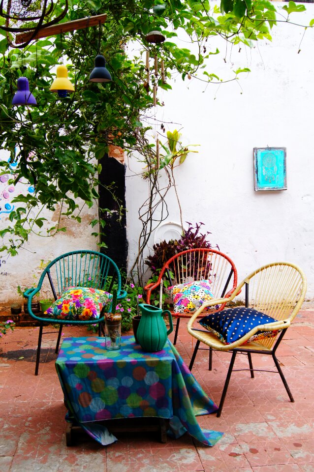 Summertime lounge plant