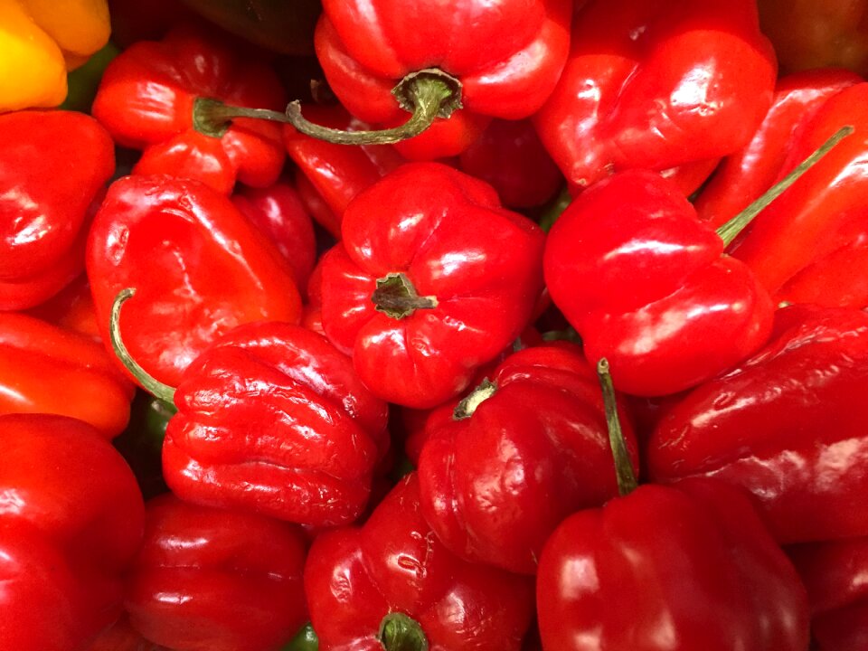 Food red food