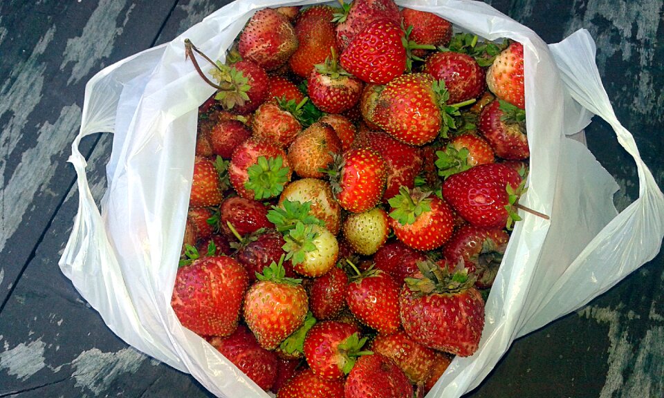 Collections strawberry nature