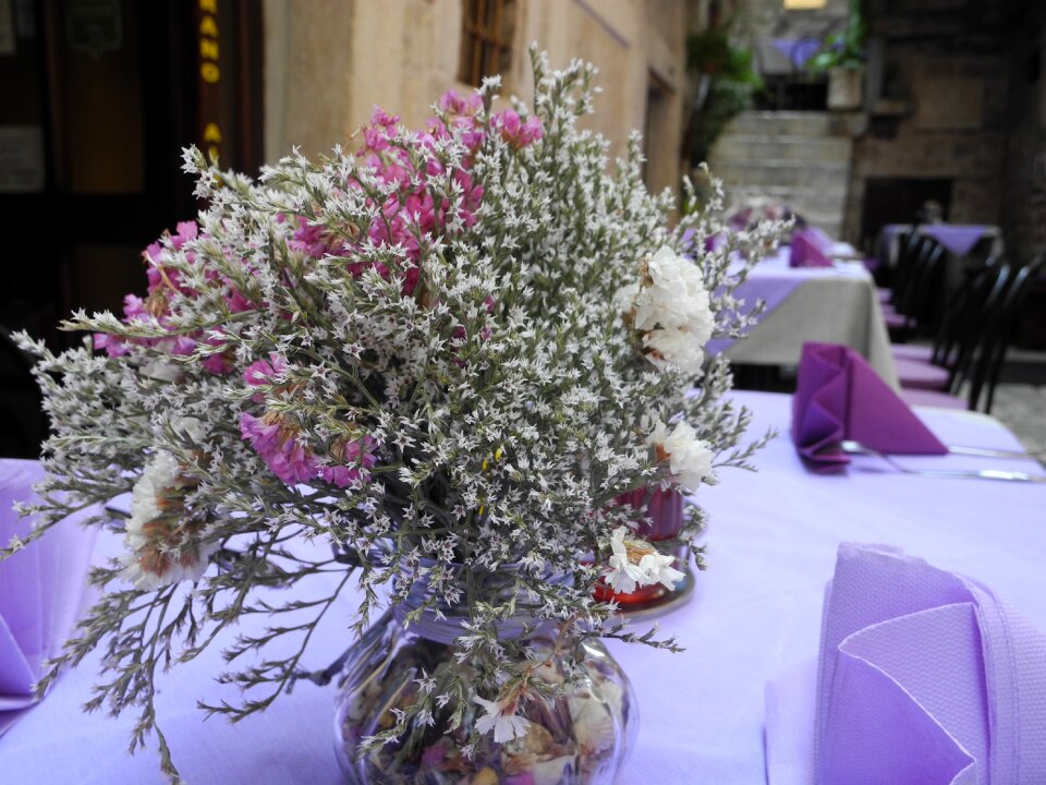 Purple summer atmosphere