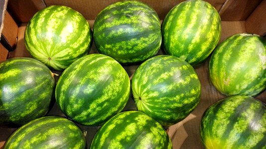 Watermelon fruit healthy