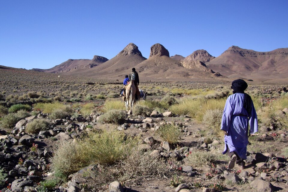 Hoggar reg tuareg