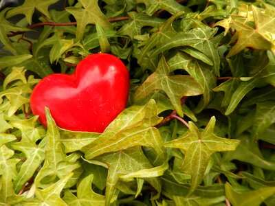 Before romantic valentine's day