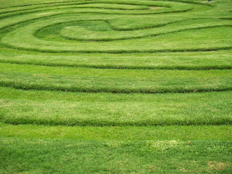 Landscape green park
