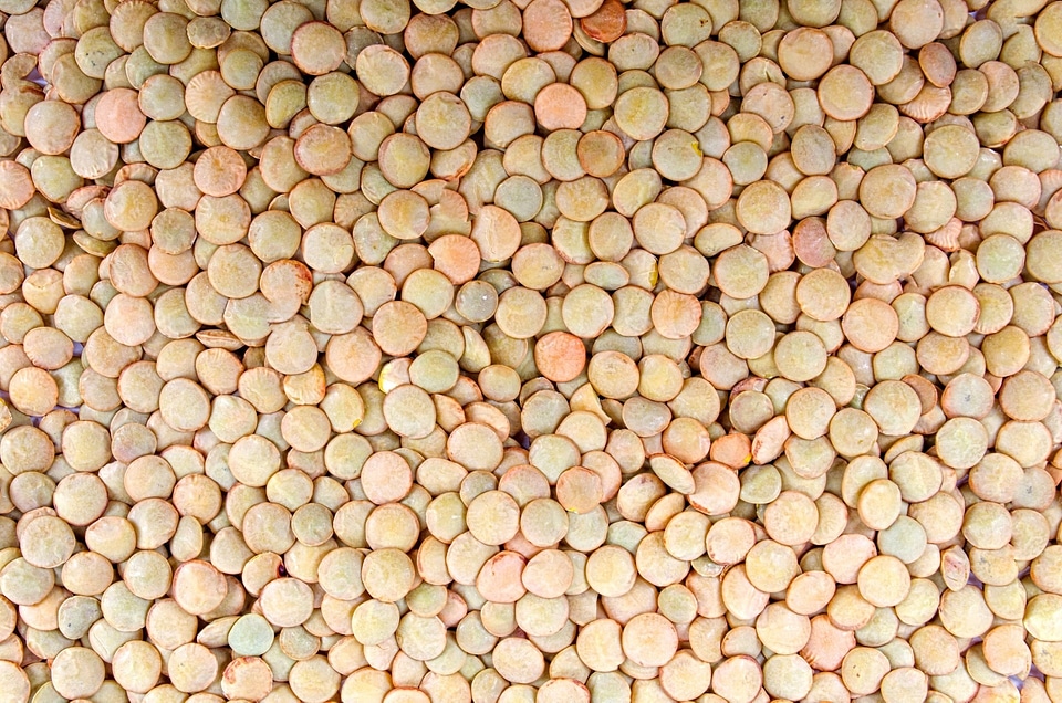 Brown cuisine decoration