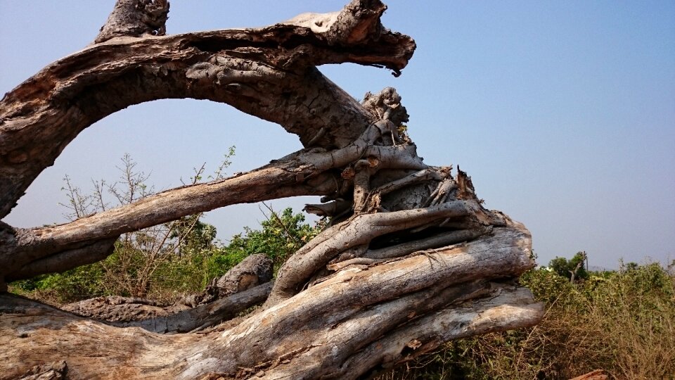 Nature disaster environment