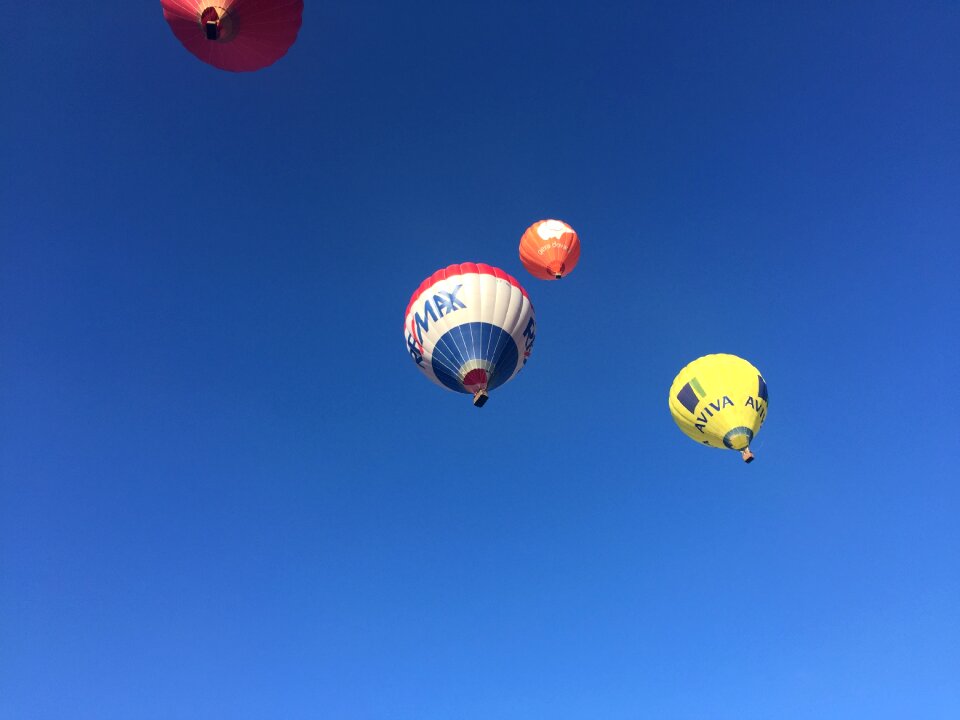 Flight fly sky
