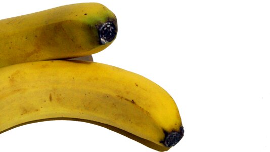 Fruits fruit tropical
