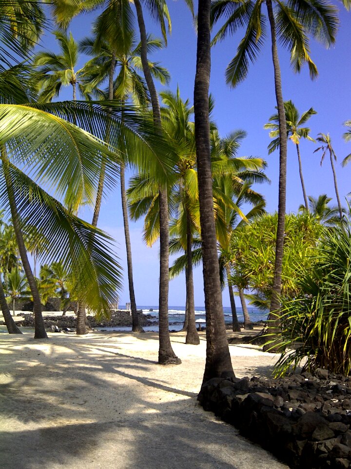 City of refuge hawaiian beach