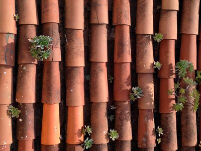 Texture old building houses