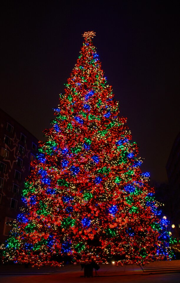 Berlin christmas tree