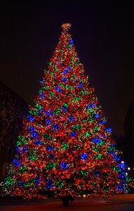 Berlin christmas tree