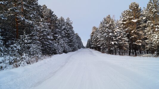 Winter landscape winter road