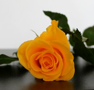 Beautiful table decorations background