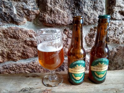 Craft beer natural cup